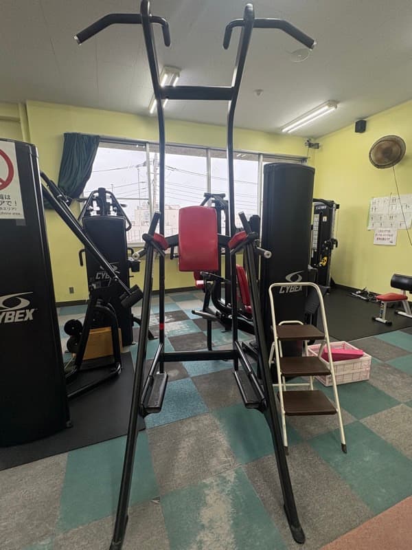 ディップ・チン・レッグレイス